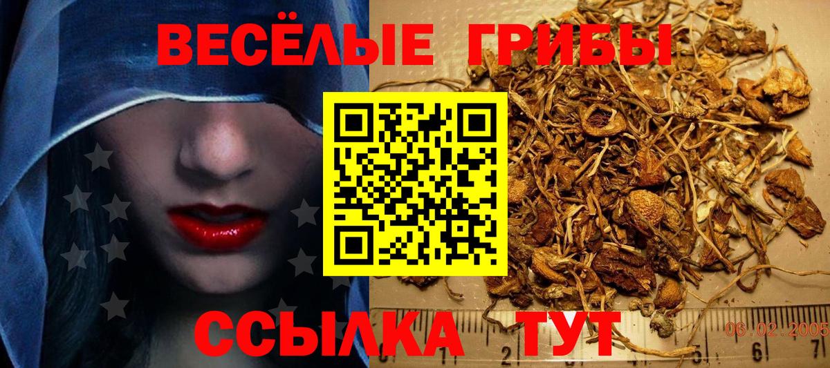 Галлюциногенные грибы GOLDEN TEACHER  Вход с VPN  Глазов 